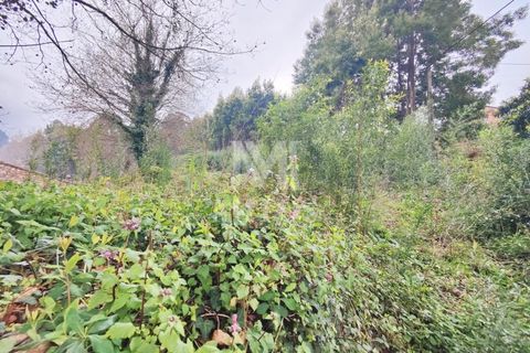 Helårsgrund i Venade e Azevedo, Viana do Castelo, Venade e Azevedo - € 128.000 | Ref: R941 - foto 5