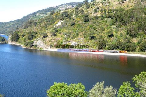 Villa i Resende, Viseu, Resende - € 700.000 | Ref: 9531_M - foto 3