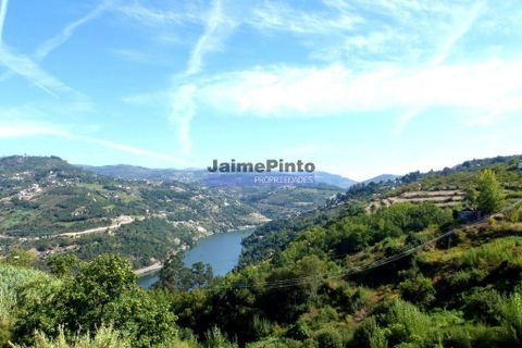 Villa i Resende, Viseu, Resende - € 700.000 | Ref: 9531_M - foto 8