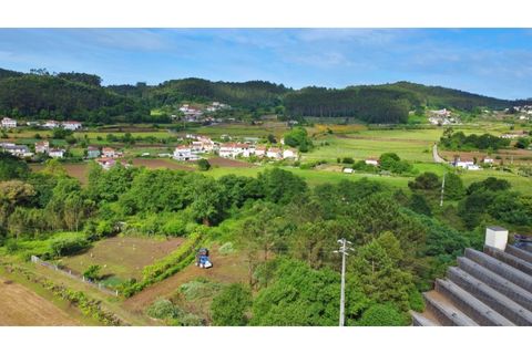 Tomt i Muro, Porto, Muro - € 330 000 | Ref: RO2167 - foto 7