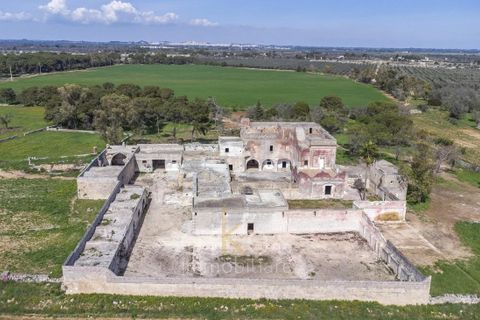 Villa i Manduria, Taranto, Manduria - € 1.600.000 | Ref: V674 - foto 4
