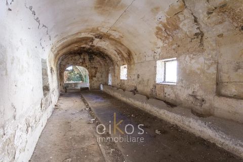 Villa i Manduria, Taranto, Manduria - € 1.600.000 | Ref: V674 - foto 25