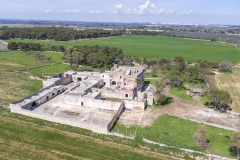 Villa i Manduria, Taranto, Manduria - € 1.600.000 | Ref: V674 - foto 37