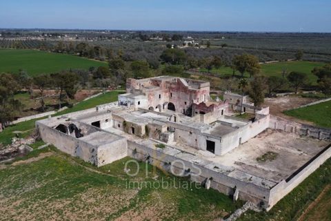 Villa i Manduria, Taranto, Manduria - € 1.600.000 | Ref: V674 - foto 38