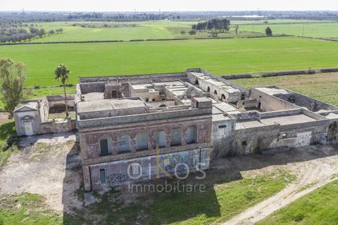 Villa i Manduria, Taranto, Manduria - € 1.600.000 | Ref: V674 - foto 39