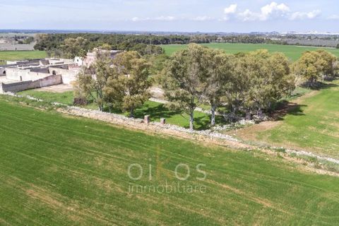 Villa i Manduria, Taranto, Manduria - € 1.600.000 | Ref: V674 - foto 42