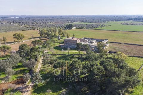 Villa i Manduria, Taranto, Manduria - € 1.600.000 | Ref: V674 - foto 43