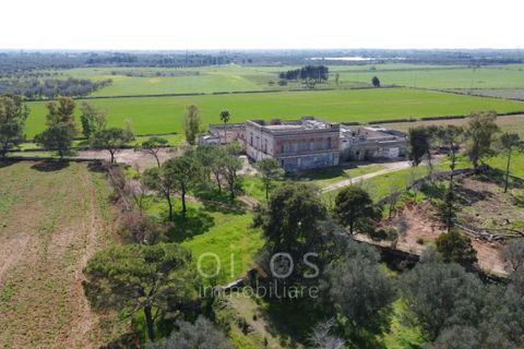 Villa i Manduria, Taranto, Manduria - € 1.600.000 | Ref: V674 - foto 46