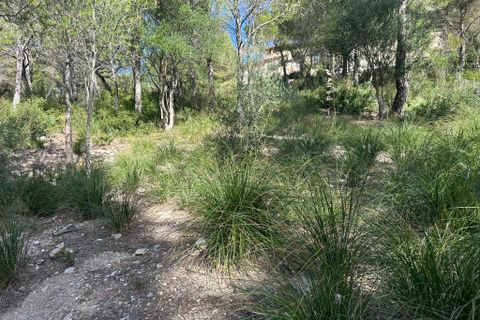 Helårsgrund i Capdepera, Mallorca, Capdepera - € 850.000 | Ref: 3292U - foto 5