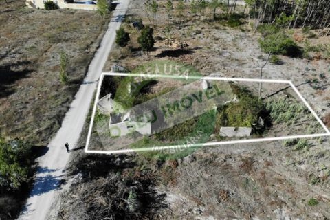 Villa i Cantanhede, Coimbra, Cantanhede - € 37.500 | Ref: CNTAF 5405 - foto 3