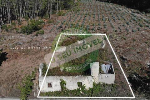 Villa i Cantanhede, Coimbra, Cantanhede - € 37.500 | Ref: CNTAF 5405 - foto 4