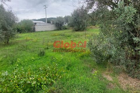 Helårsgrund i Viseu, Viseu, Viseu - € 52.000 | Ref: 189232273 - foto 2