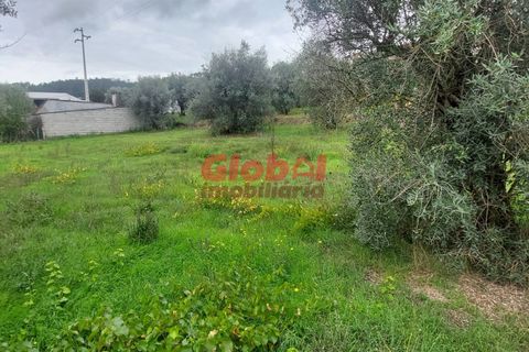 Helårsgrund i Viseu, Viseu, Viseu - € 52.000 | Ref: 189232273 - foto 3