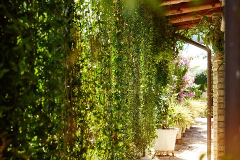 Villa a Colonnella, Teramo, Colonnella - € 790.000 | Ref: 6666 - foto 7