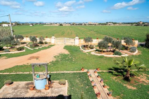 Masia a Campos, Mallorca, Campos - € 950.000 | Ref: AC0004 - foto 11