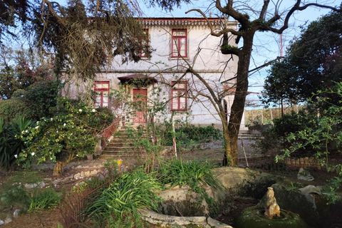 Farm i Vila do Conde, Porto, Vila do Conde - € 950.000 | Ref: IP-847 - foto 4