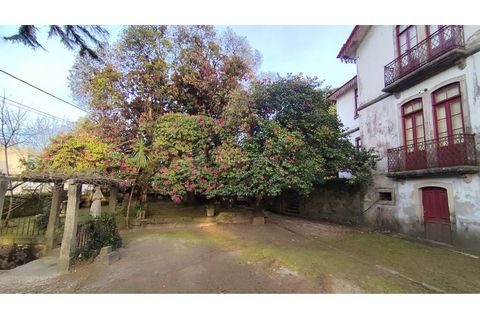 Farm i Vila do Conde, Porto, Vila do Conde - € 950.000 | Ref: IP-847 - foto 5