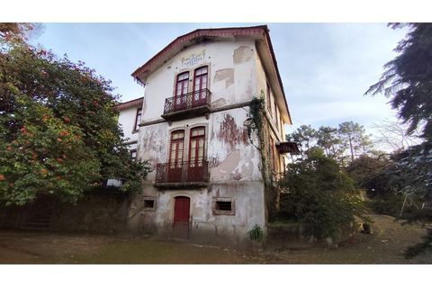 Farm i Vila do Conde, Porto, Vila do Conde - € 950.000 | Ref: IP-847 - foto 6
