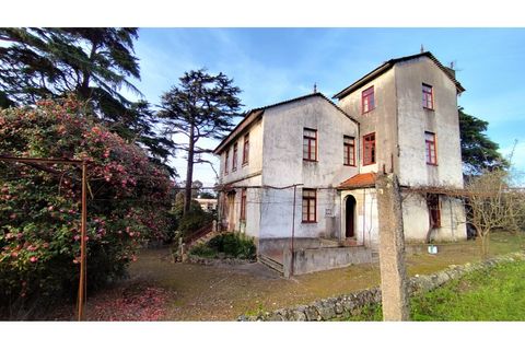 Farm i Vila do Conde, Porto, Vila do Conde - € 950.000 | Ref: IP-847 - foto 7