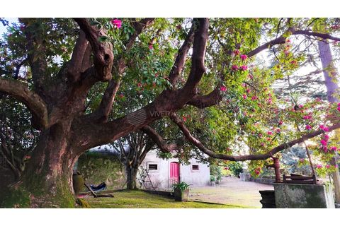 Farm i Vila do Conde, Porto, Vila do Conde - € 950.000 | Ref: IP-847 - foto 32
