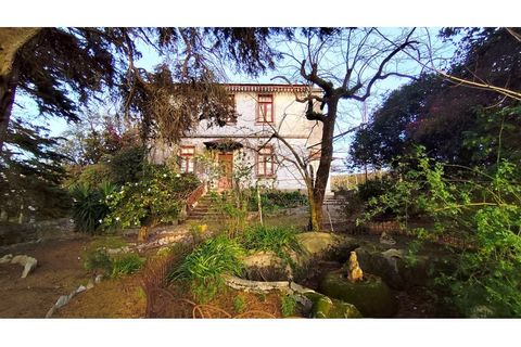 Farm i Vila do Conde, Porto, Vila do Conde - € 950.000 | Ref: IP-847 - foto 34