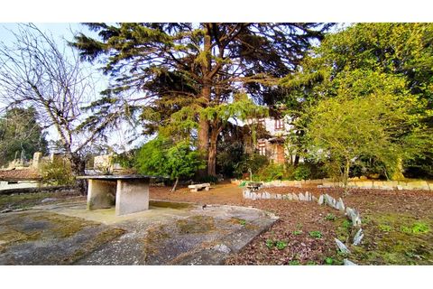 Farm i Vila do Conde, Porto, Vila do Conde - € 950.000 | Ref: IP-847 - foto 35