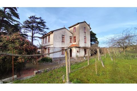 Farm i Vila do Conde, Porto, Vila do Conde - € 950.000 | Ref: IP-847 - foto 3