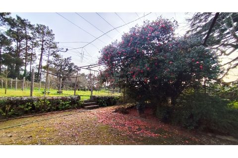 Farm i Vila do Conde, Porto, Vila do Conde - € 950.000 | Ref: IP-847 - foto 40