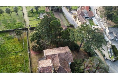 Farm i Vila do Conde, Porto, Vila do Conde - € 950.000 | Ref: IP-847 - foto 41