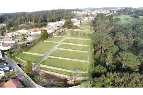 Farm i Vila do Conde, Porto, Vila do Conde - € 950.000 | Ref: IP-847 - foto 42