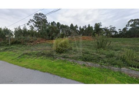 Land in Cesar, Aveiro, Cesar - € 219,000 | Ref: 7787 - photo 1