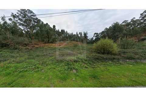 Land in Cesar, Aveiro, Cesar - € 219,000 | Ref: 7787 - photo 4
