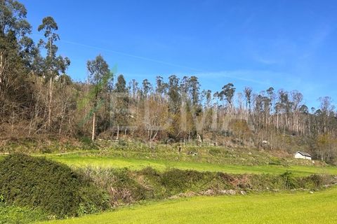 Terra a Joane, Braga, Joane - € 77.500 | Ref: BF2403S08T1 - foto 2