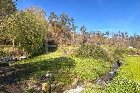 Terra a Joane, Braga, Joane - € 77.500 | Ref: BF2403S08T1 - foto 4