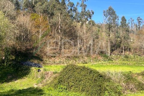 Terra a Joane, Braga, Joane - € 77.500 | Ref: BF2403S08T1 - foto 5
