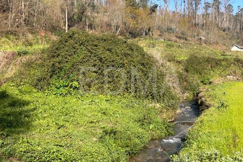 Terra a Joane, Braga, Joane - € 77.500 | Ref: BF2403S08T1 - foto 6