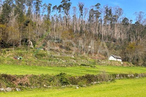 Terra a Joane, Braga, Joane - € 77.500 | Ref: BF2403S08T1 - foto 7