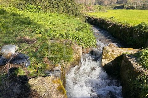 Terra a Joane, Braga, Joane - € 77.500 | Ref: BF2403S08T1 - foto 8