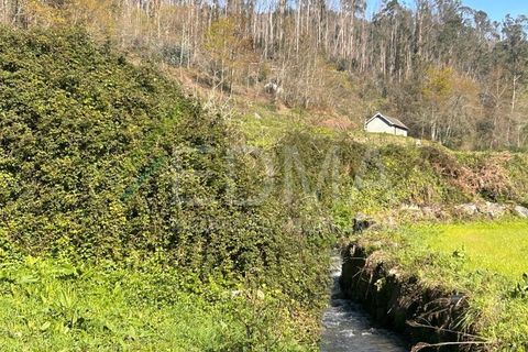 Terra a Joane, Braga, Joane - € 77.500 | Ref: BF2403S08T1 - foto 9