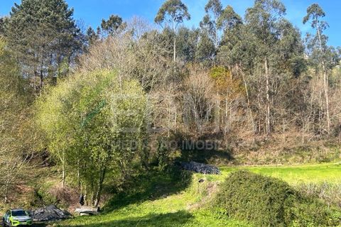 Terra a Joane, Braga, Joane - € 77.500 | Ref: BF2403S08T1 - foto 11