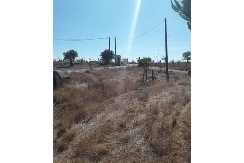 Helårsgrund i Azambuja, Lisbon, Azambuja - € 72.000 | Ref: CA-85 - foto 2