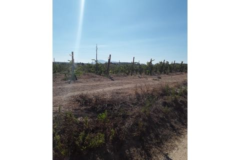 Helårsgrund i Azambuja, Lisbon, Azambuja - € 72.000 | Ref: CA-85 - foto 7
