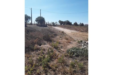 Helårsgrund i Azambuja, Lisbon, Azambuja - € 72.000 | Ref: CA-85 - foto 12