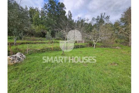 Villa a Arganil, Coimbra, Arganil - € 38.000 | Ref: SHJP216 - foto 19