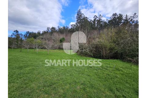 Villa a Arganil, Coimbra, Arganil - € 38.000 | Ref: SHJP216 - foto 22