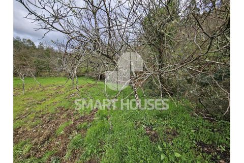 Villa a Arganil, Coimbra, Arganil - € 38.000 | Ref: SHJP216 - foto 25