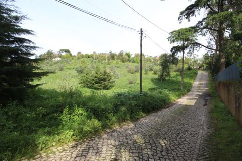 Helårsgrund i Sintra, Lisbon, Sintra - € 1.000.000 | Ref: 24-E.FAV-0037 - foto 2
