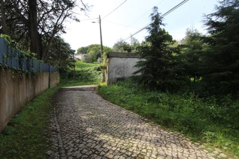 Helårsgrund i Sintra, Lisbon, Sintra - € 1.000.000 | Ref: 24-E.FAV-0037 - foto 8