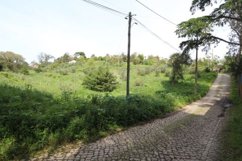 Helårsgrund i Sintra, Lisbon, Sintra - € 1.000.000 | Ref: 24-E.FAV-0037 - foto 10