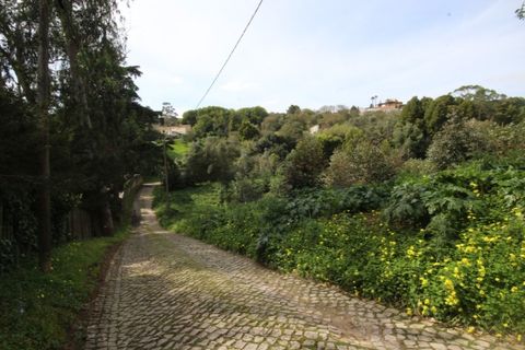 Helårsgrund i Sintra, Lisbon, Sintra - € 1.000.000 | Ref: 24-E.FAV-0037 - foto 11